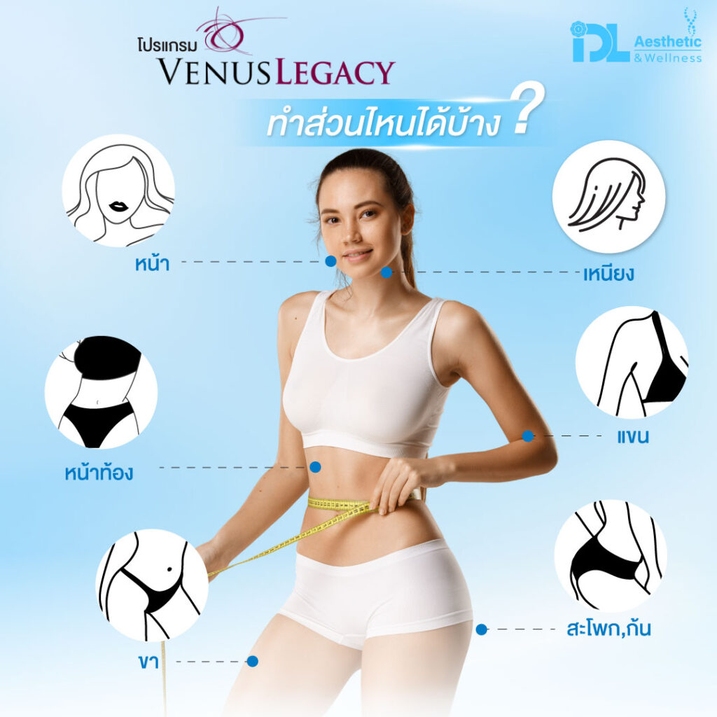venus สลายไขมัน